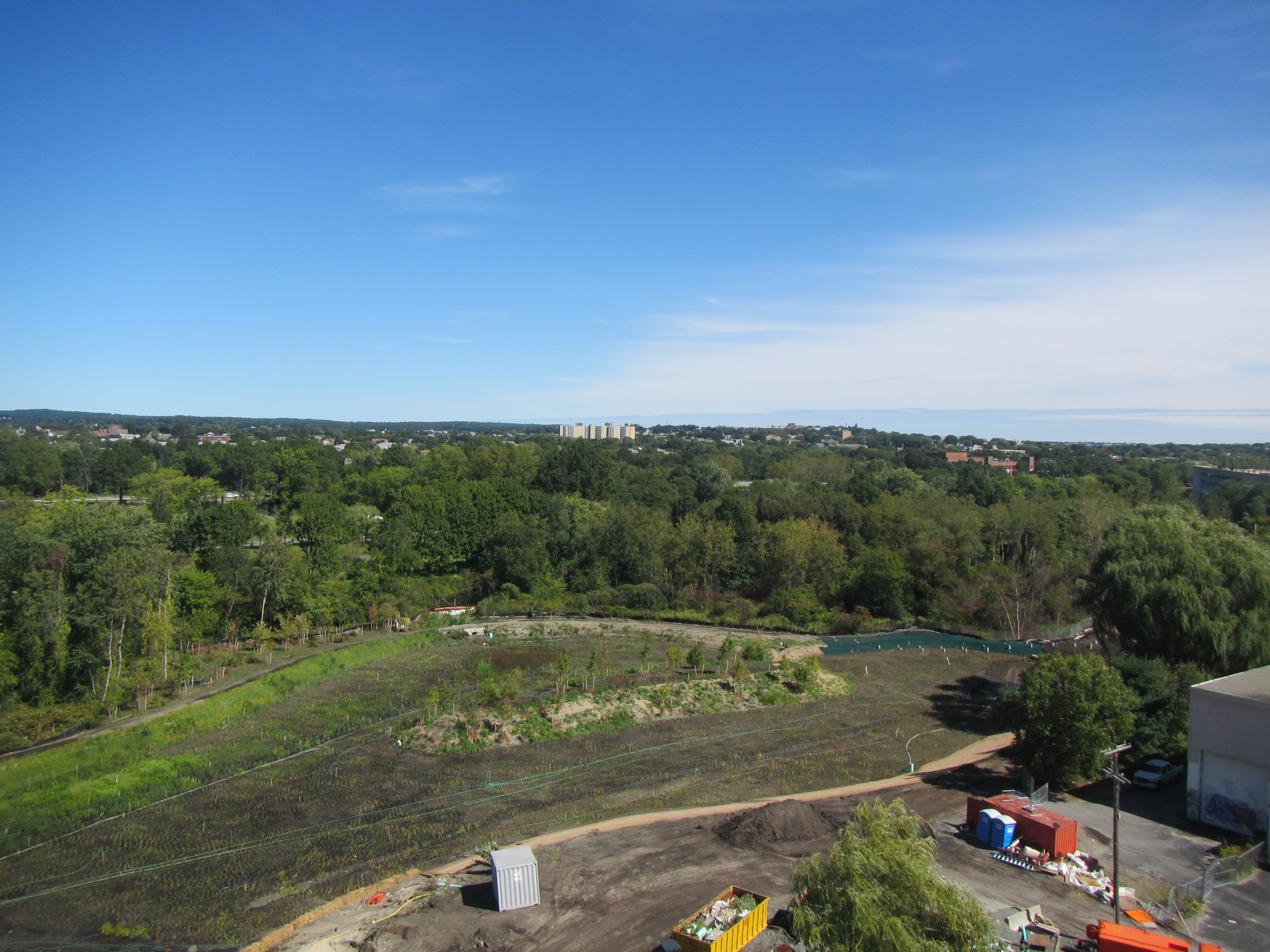Eastern end of wetland basin_September 19 2012